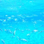 Valentina Vista Mare Bestvacationever Σπίτι διακοπών *