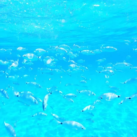 Valentina Vista Mare Bestvacationever Casa de Férias *