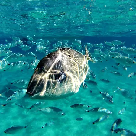 Casa de Férias Valentina Vista Mare Bestvacationever *